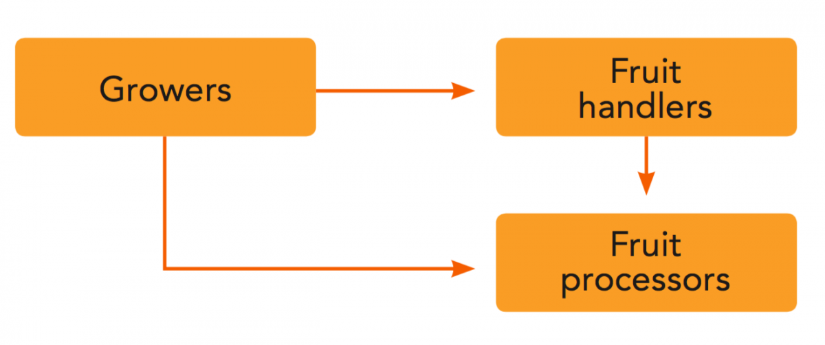 The supply chain and global consumption of orange juice Orange Book