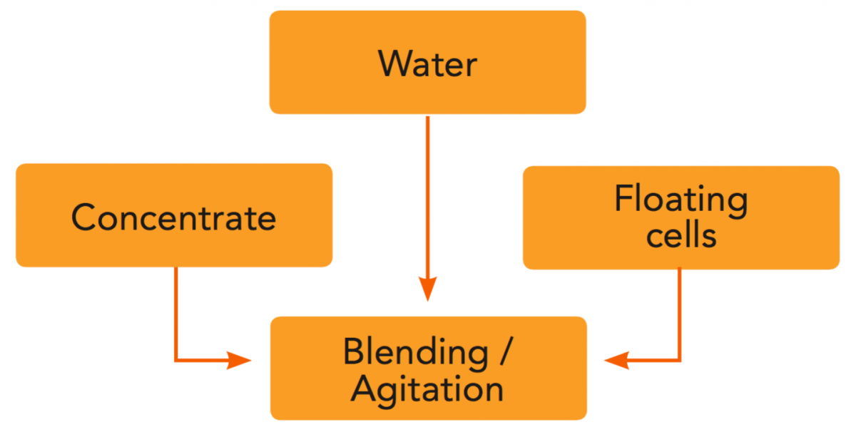 Principles of processing orange juice Orange Book