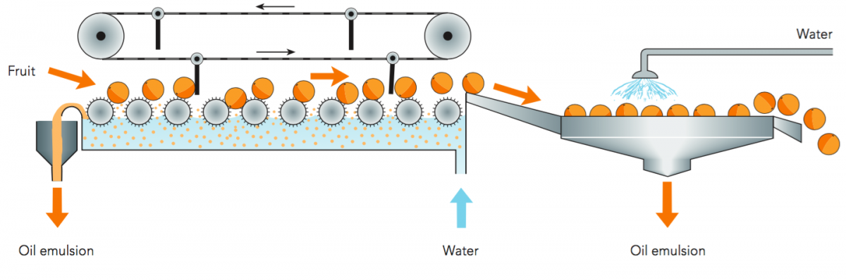 inflammatory disorders of the nervous system pathogenesis immunology