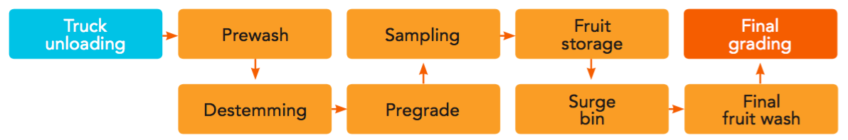 Fruit Processing Orange Book